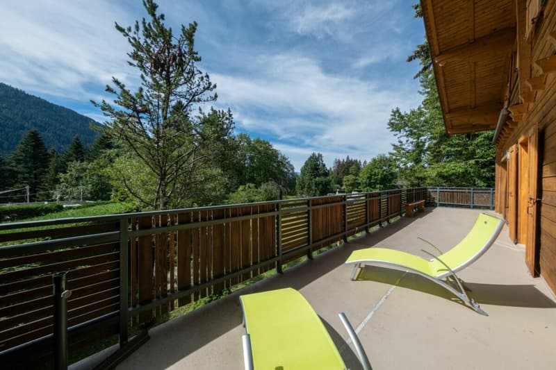 Chalet individuel de 9 pièces entièrement rénové en 2012 (26)