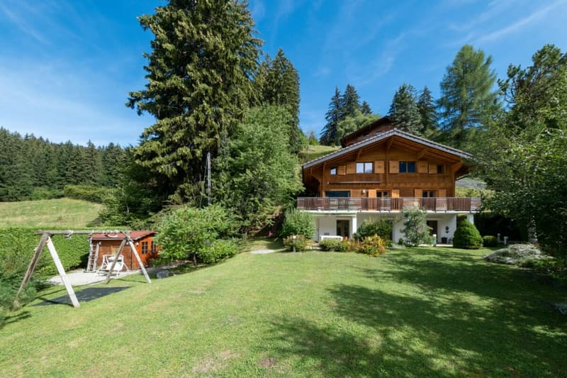 Chalet individuel de 9 pièces entièrement rénové en 2012 (25)