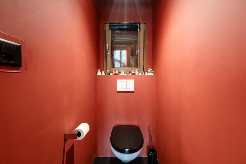 Chalet individuel de 9 pièces entièrement rénové en 2012 (10)