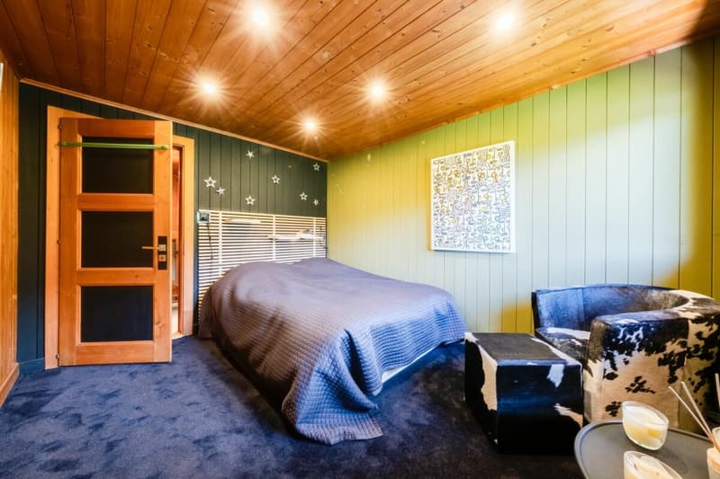 Chalet individuel de 9 pièces entièrement rénové en 2012 (13)