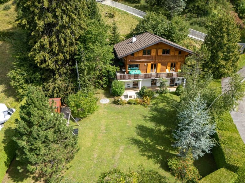 Chalet individuel de 9 pièces entièrement rénové en 2012 (28)