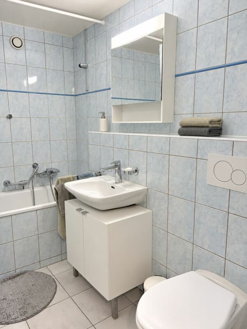 Appartement de 2,5 pièces (11)