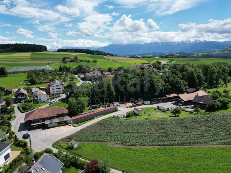 Zimmerei in Tägertschi (11)
