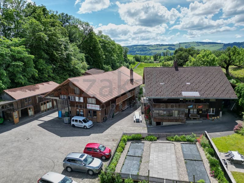 4½-Zimmer-Wohnung zur Zwischennutzung im Chalet (2)