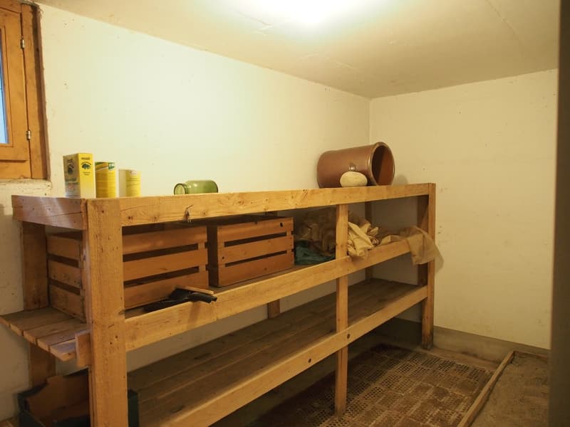 Grosszügiges Einfamilienhaus mit Garten in Schüpfen (16)