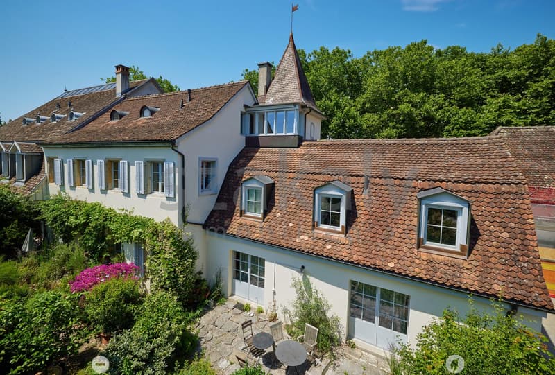 Dreifamilienhaus mit Charme in alterwürdigem Gemäuer (4)