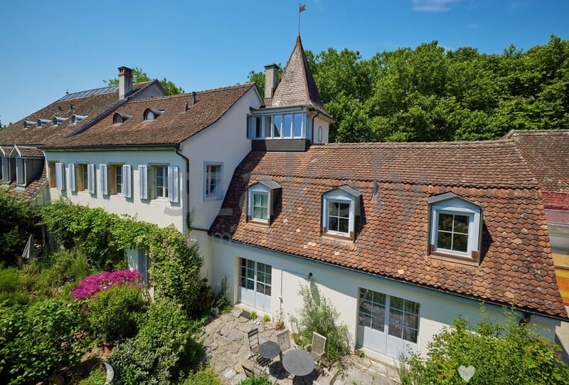 Dreifamilienhaus mit Charme in alterwürdigem Gemäuer (4)