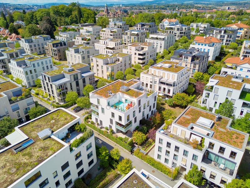 Charmante 4½-Zimmer-Wohnung im Schönberg-Ost Quartier (6)