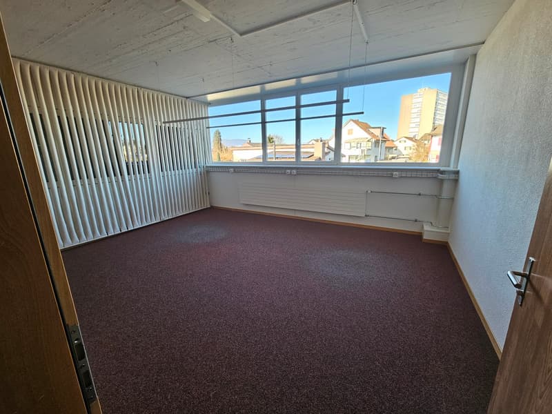 Empty room with red carpet, large windows, white venetian blinds, heater on wall
