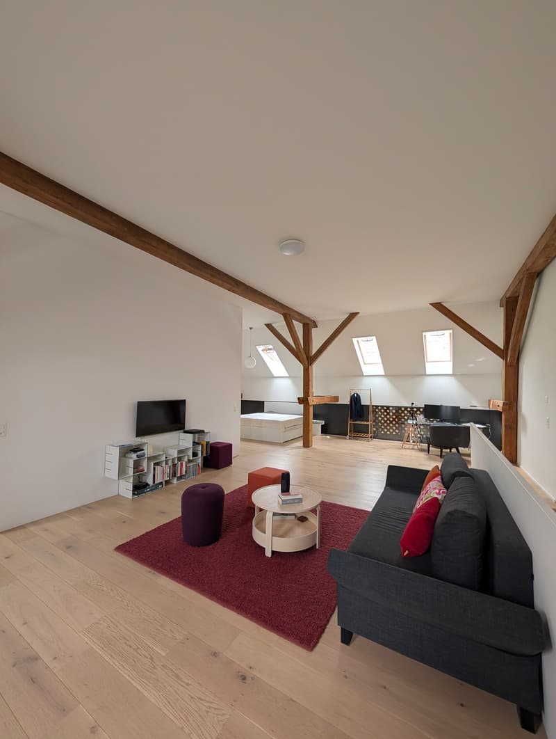 Sehr moderne möblierte Duplex-Loftwohnung an bester Lage (5)