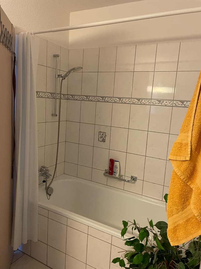 Moderne 2.5-Zimmer-Wohnung an der Fliederstrasse in Zofingen (10)