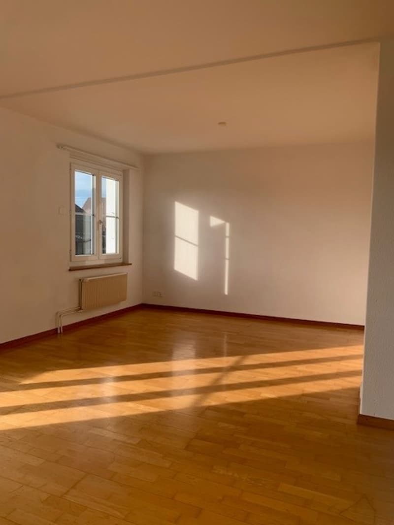 Charmante Wohnung mit Blick auf die Alpen! (5)