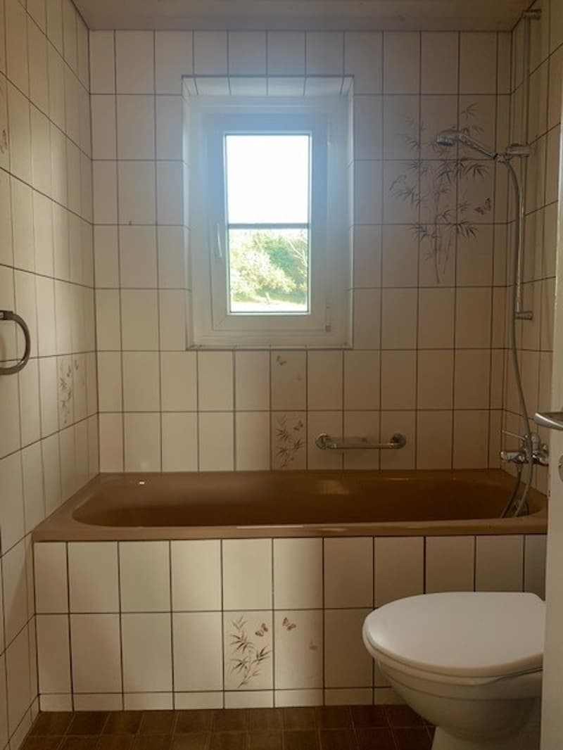 Charmante Wohnung mit Blick auf die Alpen! (13)