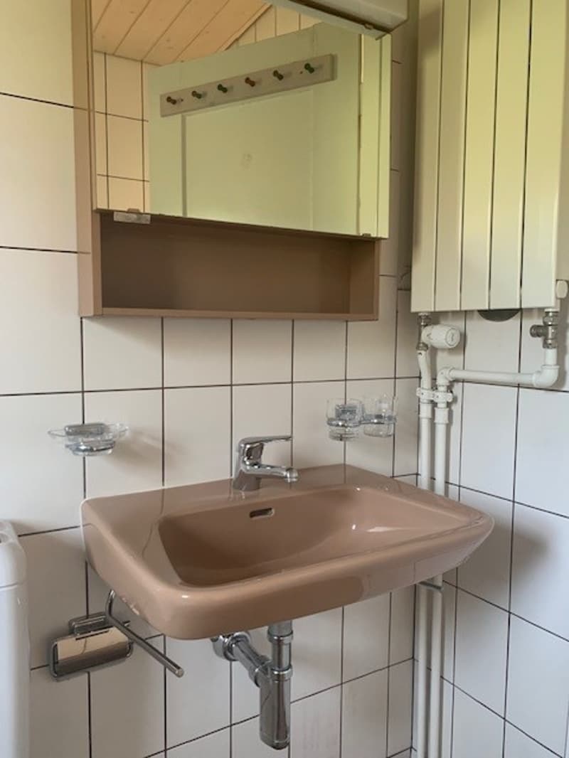 Charmante Wohnung mit Blick auf die Alpen! (14)