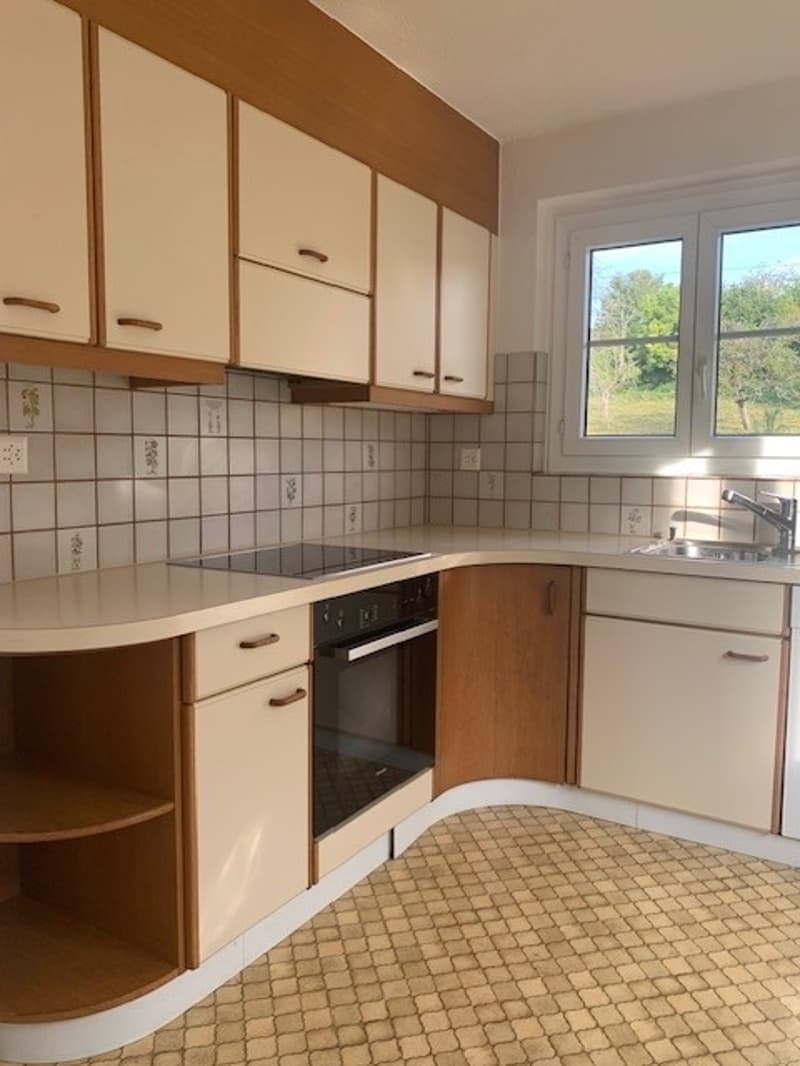Charmante Wohnung mit Blick auf die Alpen! (11)