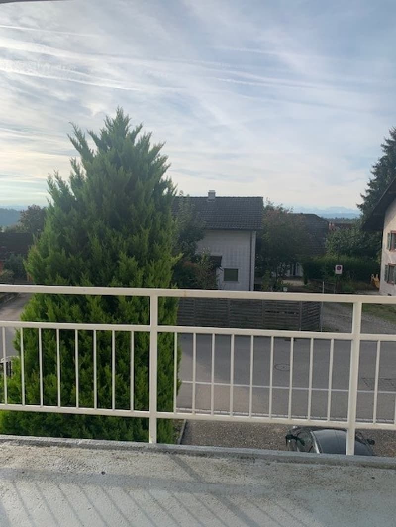 Charmante Wohnung mit Blick auf die Alpen! (15)