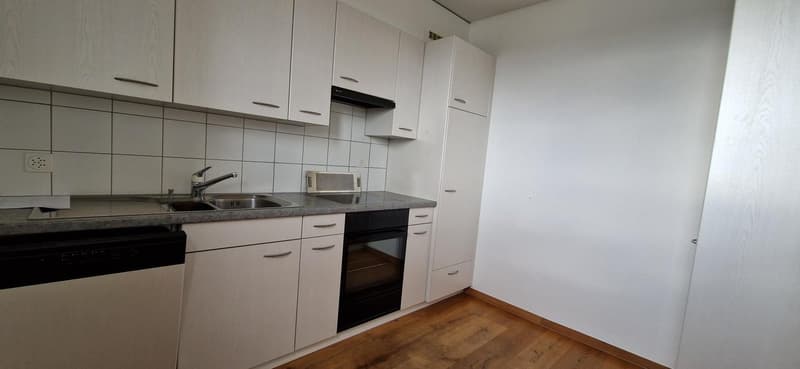 Willkommen zu Hause (3)