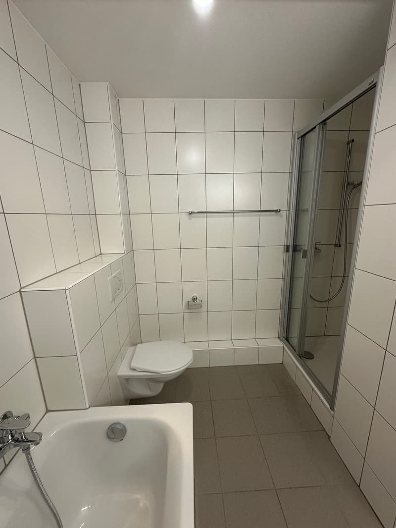 Familien-Wohnung im Hasenmatt-Quartier in Langenthal (7)