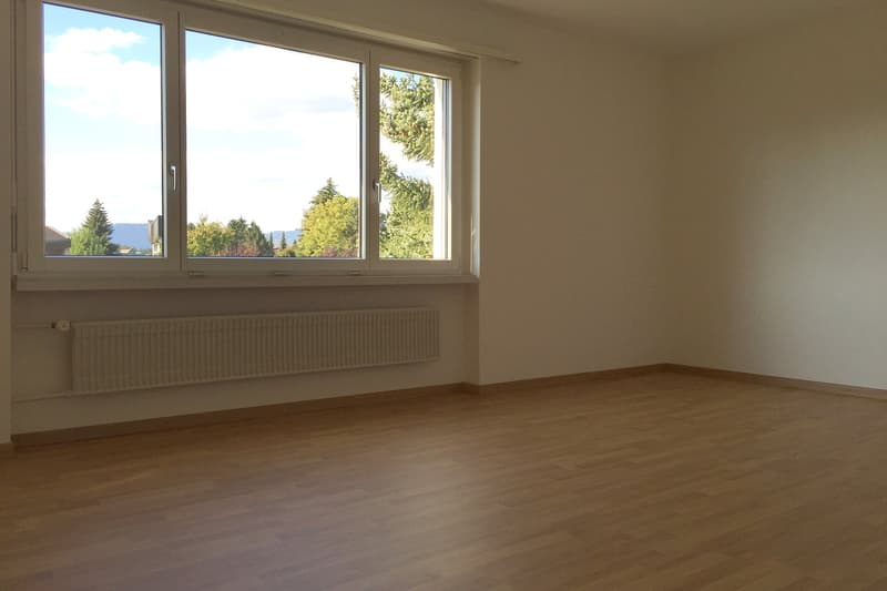 grosse 5.5-Zimmer-Familienwohnung (7)