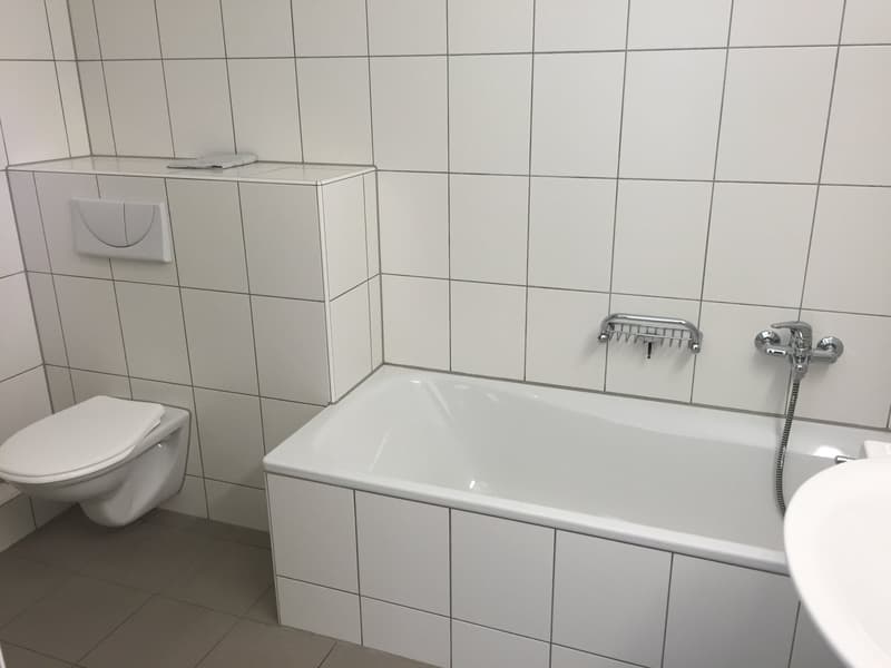grosse 5.5-Zimmer-Familienwohnung (9)