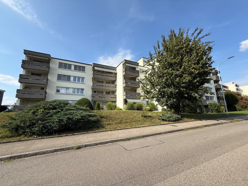 Moderne grosse 2.5-Zimmer-Wohnung (2)