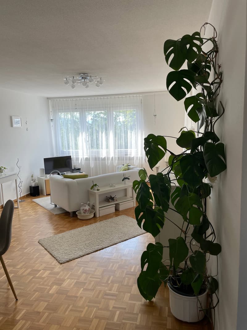 Moderne grosse 2.5-Zimmer-Wohnung (3)