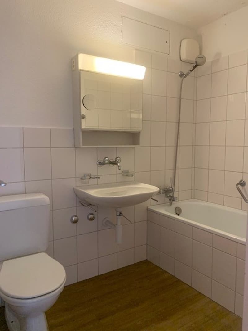 Moderne grosse 2.5-Zimmer-Wohnung (11)