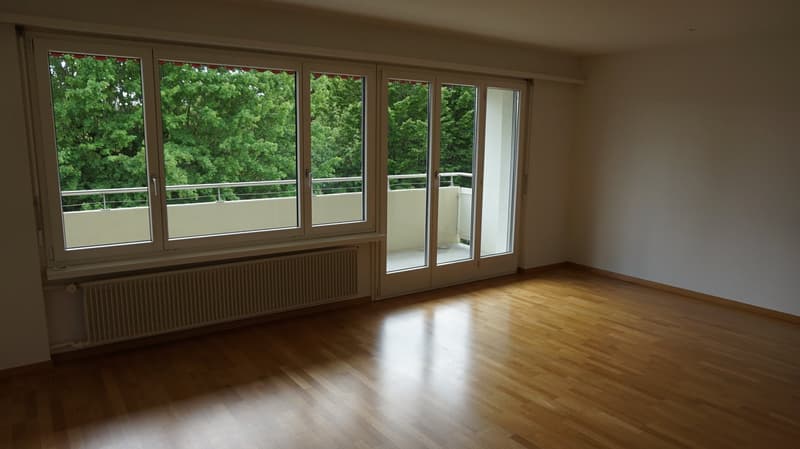 grosse 4.5-Zimmer-Wohnung nähe Bahnhof - die Familienwohnung (4)