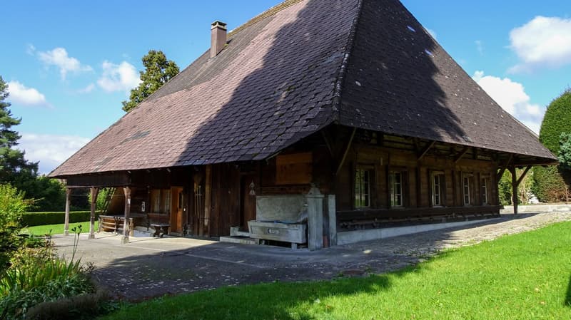 Historisches Hochstudhaus mitten in Langenthal (4)