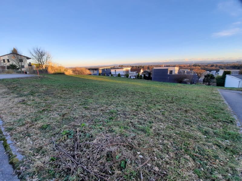 Attraktives Bauland mit Panoramablick in Riedholz (3)