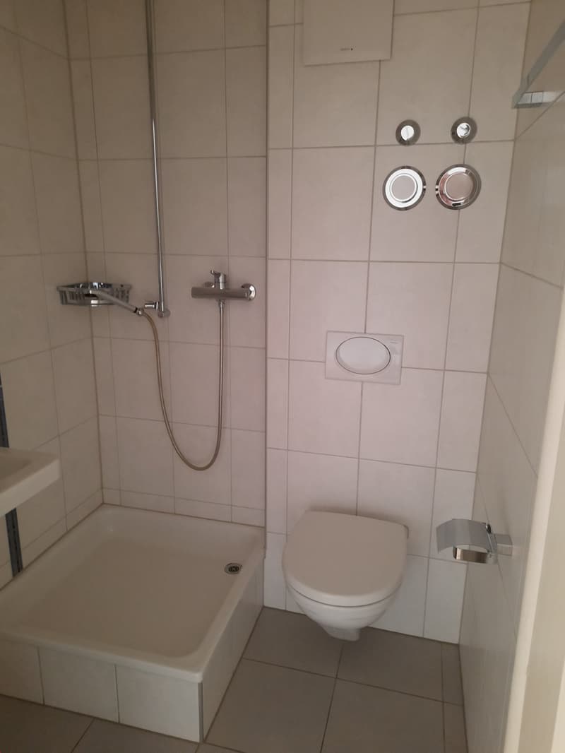Schöne und helle 4,5 Zimmerwohnung (9)