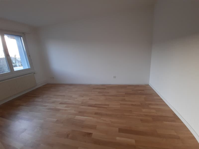 Schöne und helle 4,5 Zimmerwohnung (5)