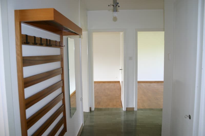 Mehrfamilienhaus mit 4 Wohnungen in Solothurn – Renditeobjekt (2)