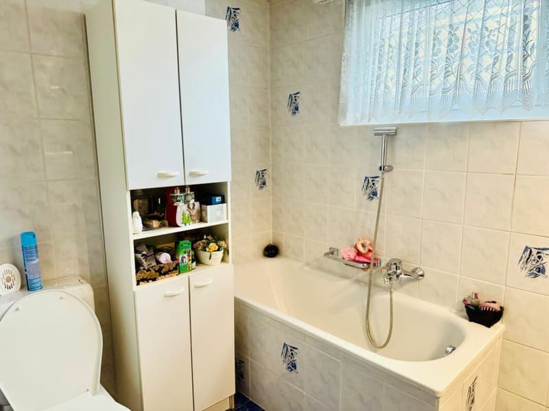 6.5 Zimmer Einfamilienhaus mit zusätzlich Bauprojekt. (12)