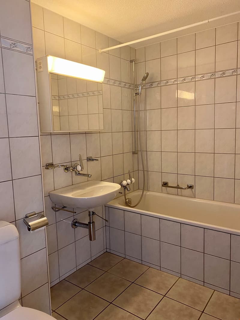 Charmante 3.5-Zimmer-Wohnung mit Balkon und schöner Aussicht in Teufenthal AG (9)