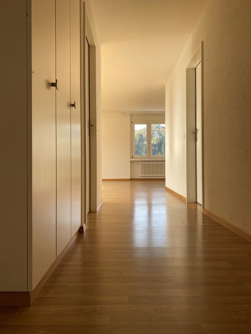 Charmante 3.5-Zimmer-Wohnung mit Balkon und schöner Aussicht in Teufenthal AG (5)