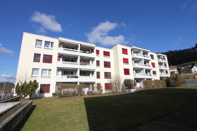 Charmante 3.5-Zimmer-Wohnung mit Balkon und schöner Aussicht in Teufenthal AG (1)