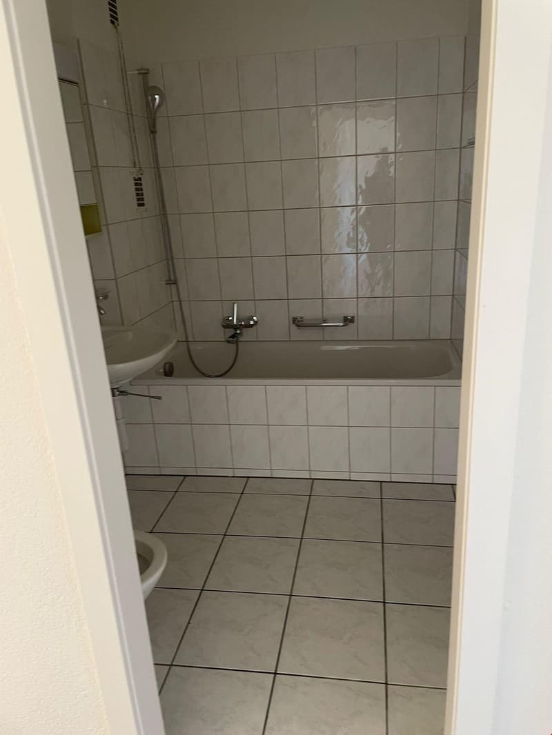 Grosszügige 3 1/2 Zimmer-Wohnung an top Lage mit Weitblick (3)