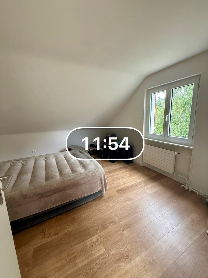Moderne 2-Zimmer-Dachwohnung in ruhiger Lage von Seuzach (2)