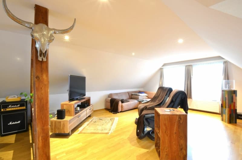 Traditional establishment with 6 rooms and 4.5 room attic apartment in the center of Matzingen (16)