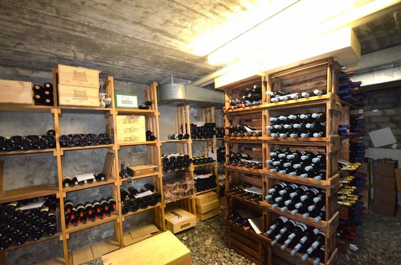 Traditional establishment with 6 rooms and 4.5 room attic apartment in the center of Matzingen (8)