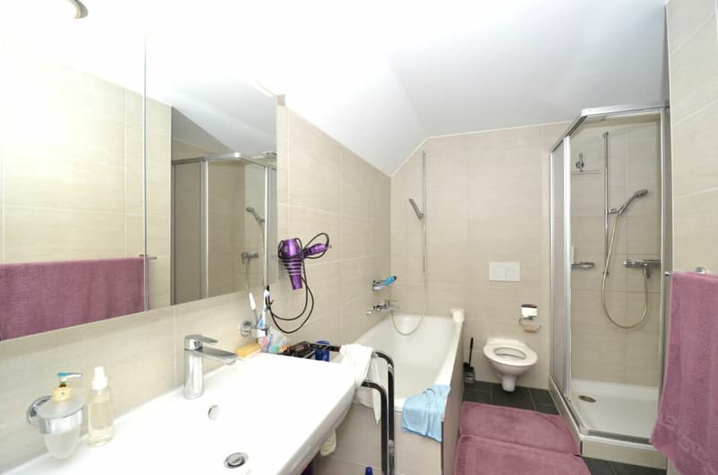 Traditional establishment with 6 rooms and 4.5 room attic apartment in the center of Matzingen (14)