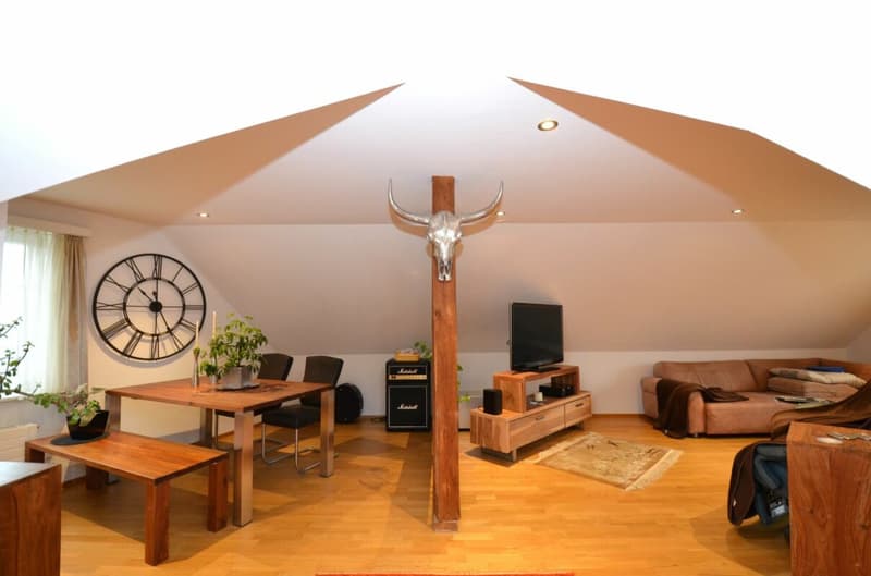 Traditional establishment with 6 rooms and 4.5 room attic apartment in the center of Matzingen (12)