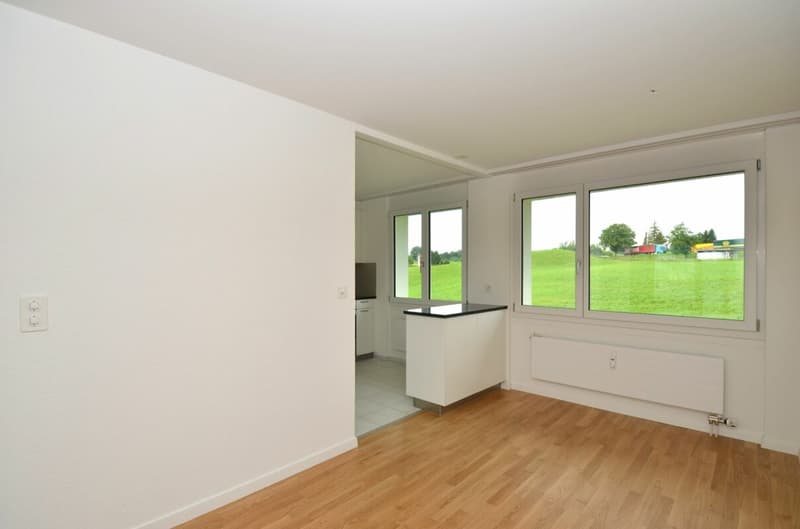 Wohlfühloase am Sonnenhang von Gossau (5)