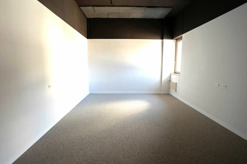 Büro- oder Praxisraum im Zentrum Frauenfelds (4)