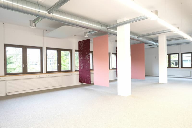 Büro- und/oder Praxisräume in verschiedenen Grössen (161m² + 298m²) im Zentrum Frauenfelds (4)