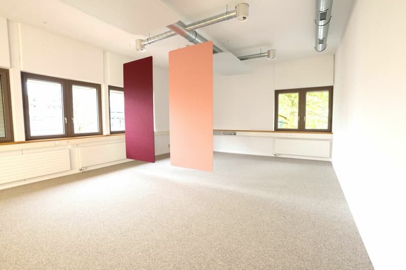 Büro- und/oder Praxisräume in verschiedenen Grössen (161m² + 298m²) im Zentrum Frauenfelds (8)