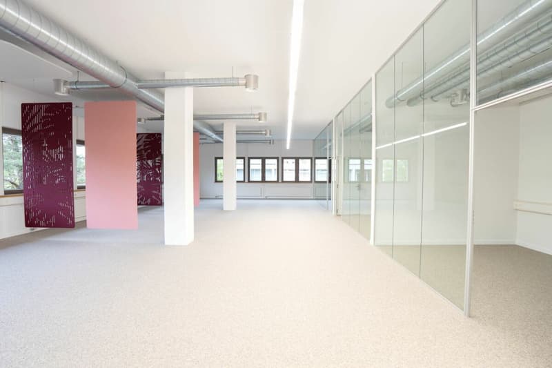 Büro- und/oder Praxisräume in verschiedenen Grössen (161m² + 298m²) im Zentrum Frauenfelds (3)