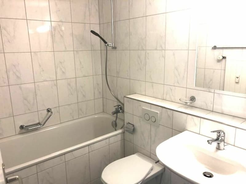 Ideale Singlewohnung (4)