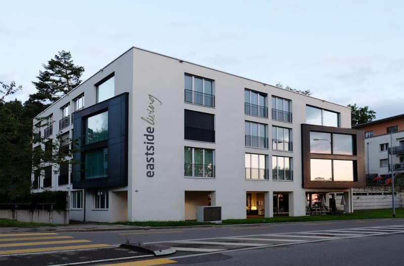 Einstellplatz in St. Gallen (2)